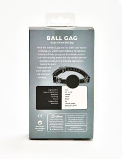 Leather and Metal Ball Gag BDSM from easy toys front packaging