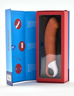 Vibrator SATISFYER Vibes Master pink packaging